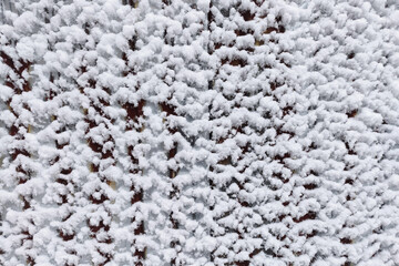 Snow flakes stuck in the form of waves on a white metal sheet. There are rust spots.