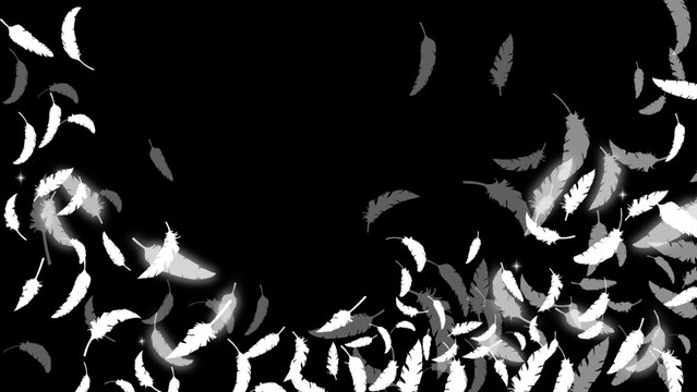 白い鳥の羽がふわふわと舞う（16:9）5 Feather Series:Many white bird feathers fluttering