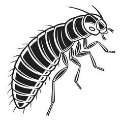 Detailed Black and White Illustration of a Termite Featuring Segmented Body and Prominent Antennae Depicting Insect Anatomy