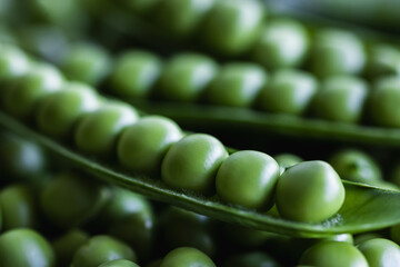 Perfectly arranged peas in green pods close-up
