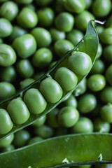 An open green pea pod with a neat row of peas inside