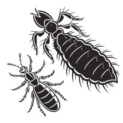 Detailed Black and White Illustration of Two Lice Species Depicting Different Morphological Features in a Stylized Manner