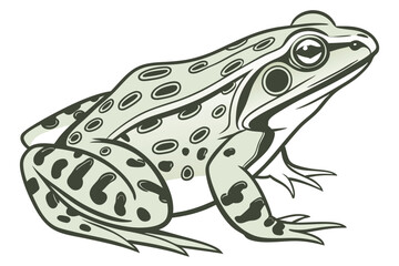 Fototapeta premium Detailed Illustration of a Green Frog Leaning to the Right Cartoon with Artistic Flair and Defined Outlines in Shades of Green