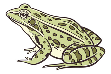 Cartoonish Green Frog with Dark Spots Standing on a White Background in a Simple Detailed Style Illustration