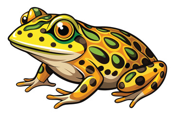 Colorful Cartoon Frog Illustration a Vibrant Amphibian with Artistic Details Depicting Nature and Wildlife Symbolism in a Playful Composition