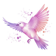 Obraz premium hummingbird with flower