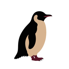 Fototapeta premium Elegant silhouette of a penguin chick on a white background, minimalism