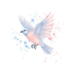 Obraz premium hummingbird with flower