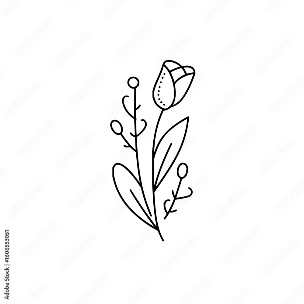 Poster a delicate line drawing of a tulip with leaves and small berries on a white background in a simple s