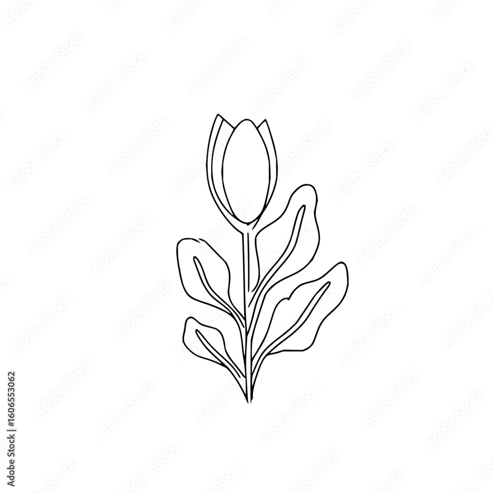 Poster a simple line drawing of a tulip flower with leaves on a white background in a minimalist style desi