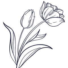 vector drawing of a flower
