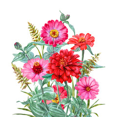 Hand drawn bouquet with red and pink zinnia and lawn herbs