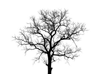 Obraz premium Silhouette of leafless tree against white background, suitable for eco friendly designs, nature inspired projects, outdoor themed graphics, and minimalist concepts.