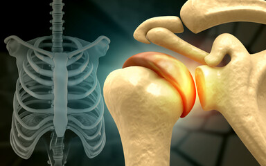 Human shoulder anatomy, shoulder pain. 3d illustration