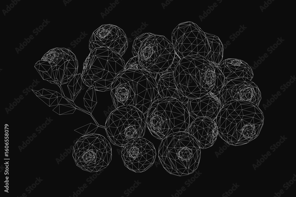 Poster blackberries arranged in a cluster on a black background with a low polygonal design. each berry has