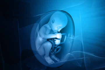 Human fetus in womb. science and medical background. 3d illustration