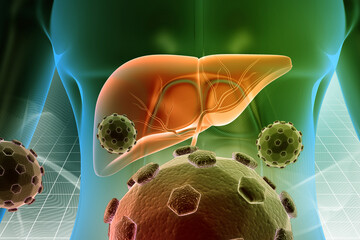 Human liver anatomy with hepatitis virus. 3d illustration