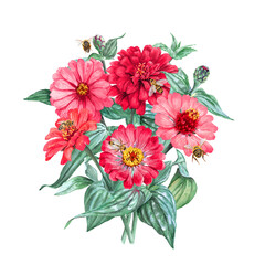 Hand drawn red zinnia bouquet