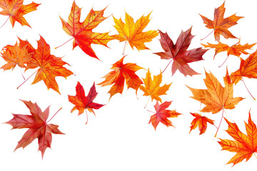 Fototapeta premium falling red and orange autumnal leaves isolated