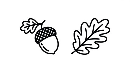 Obraz premium Minimalist Line Art of Acorn and Oak Leaf on White