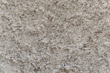 Textured wall surface showcasing intricate patterns and subtle color variations in natural lighting