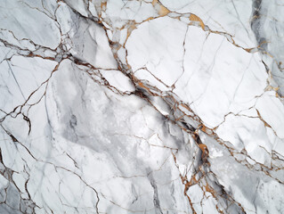 Elegant White Marble with Golden Veins