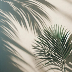 Obraz premium Palm Leaf Shadows on White Wall