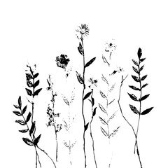 A monochrome botanical illustration featuring various flowers and foliage in a simple black and white style