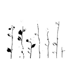 A monochromatic illustration of several plant stems with leaves against a white background display