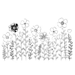 Illustration of a garden with various flowers and plants in black and white simple line drawing style art work