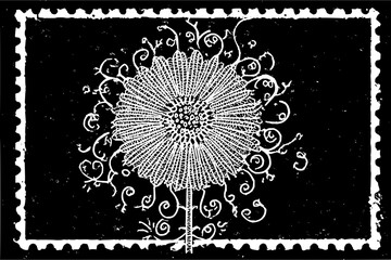 White flower with swirls and a stem in a black background framed with a white decorative border