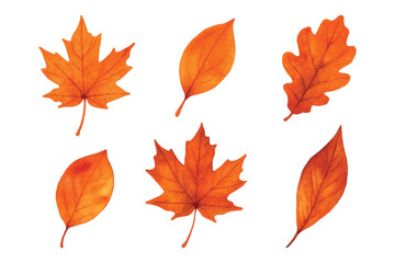watercolor autumn leaves bundle set