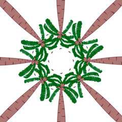 illustration of coconut tree for summer background. Tropical tree