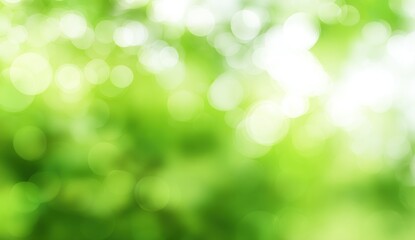 Abstract blurred background of nature in shades of green and white.