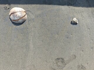 Weathered coconut shell and coral stone on wet beach sand, captured from above in sunny daylight.
