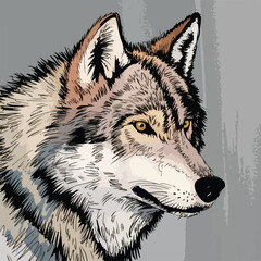 wolf sketch tattoo