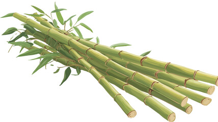 Fototapeta premium A digital illustration depicting a bundle of fresh green bamboo shoots. The image shows several bamboo stalks bundled together, with visible leaves at the top. The bamboo is a vibrant green color,