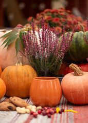 Seasonal Autumn Composition with Pumpkins, Cookies and Citrus