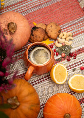 Seasonal Autumn Composition with Pumpkins, Cookies and Citrus