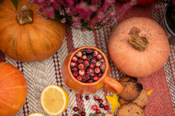 Seasonal Autumn Composition with Pumpkins, Cookies and Citrus