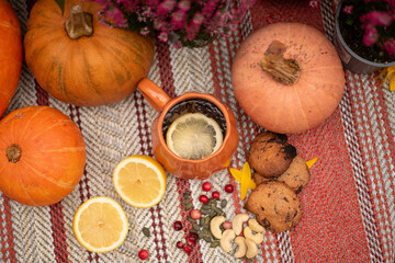 Seasonal Autumn Composition with Pumpkins, Cookies and Citrus