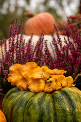 Autumn Still Life with Pumpkin, Heather and Chanterelles