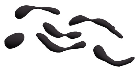 Beautiful black watercolor brush isolated on transparent background.