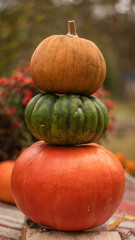 Rustic Autumn Background with colored pumpkins tower