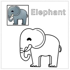 elephant