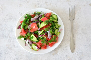 Fresh and Colorful Salad with Tomatoes, Cucumbers, purple onion and parsley on a White Plate