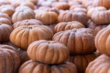 stack of the pumpkins on sale at the local market