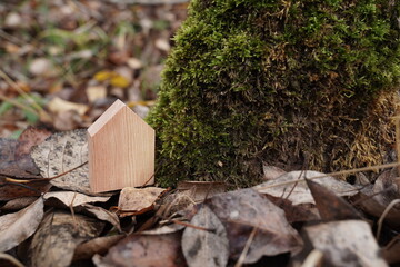 Crafting a wooden house mockup nestled next to a mossy tree trunk