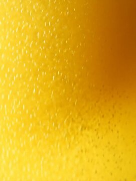 Golden lager beer being poured, creating a thick, frothy head as countless bubbles rise continuously and effervescently through the liquid. 