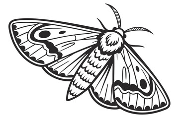 Intricate Black and White Illustration of a Detailed Moth with Delicate Wing Patterns and Antennae Details